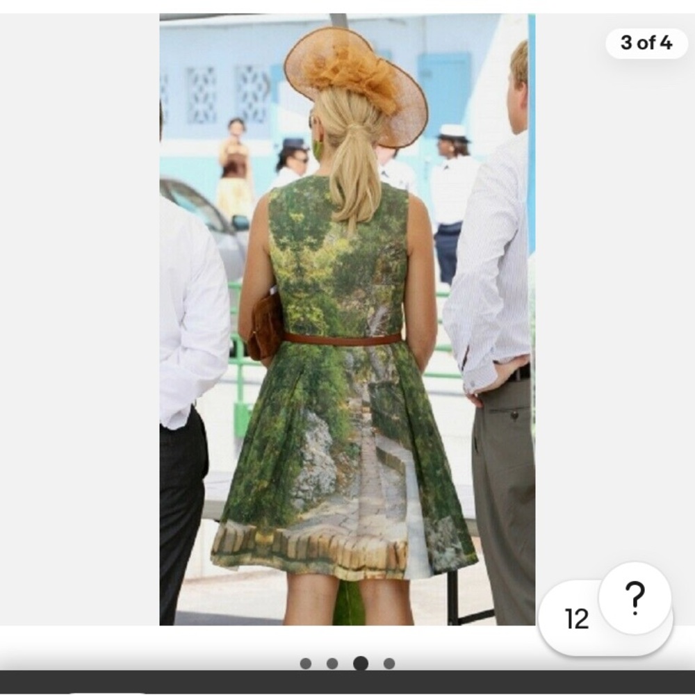 Akris Green Sleeveless Dress with Nature Print - Picture 2 of 9